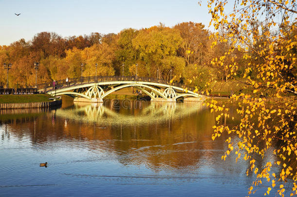 秋天的风景在一个阳光明媚的日子里，桥横跨在Tsaritsyno的池塘上，