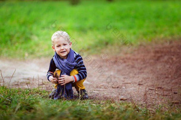 秋天的小男孩玩锥，在树林里收集圆锥