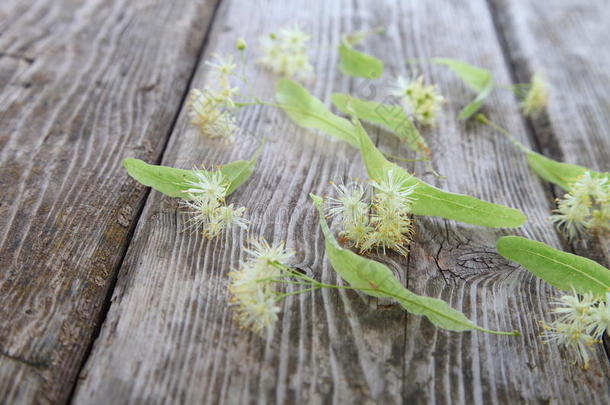 菩提花