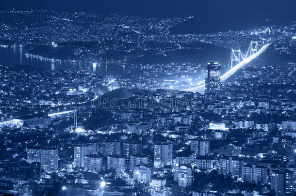 伊斯坦布尔<strong>市区</strong>和桥梁鸟瞰图