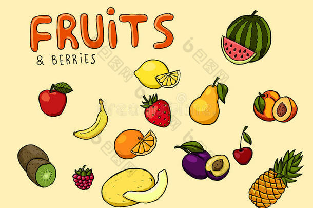 彩色手绘水果和浆果插图