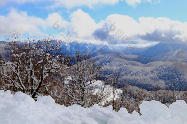 雪景