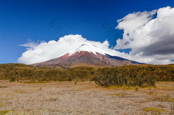 云<strong>中</strong>的科托帕西火山