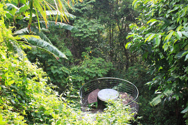 生物群系生态系统植物区系森林花园