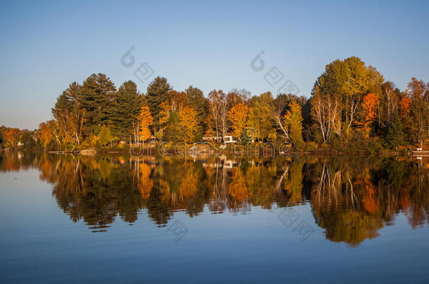 秋天的森林倒影在湖里