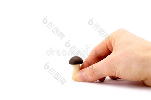 手拿着白色背景上的小巧克力蘑菇