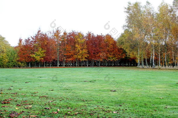 比利时，巴斯托涅，和平公园。 明亮的橙色秋天。