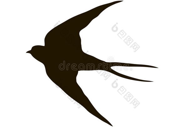 画剪影飞翔的燕子