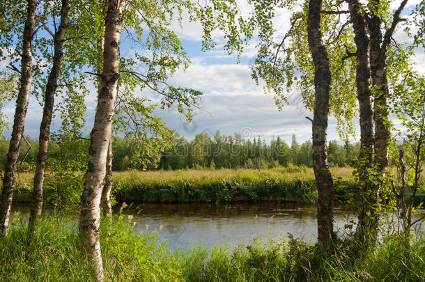 芬兰拉普兰的河边景观