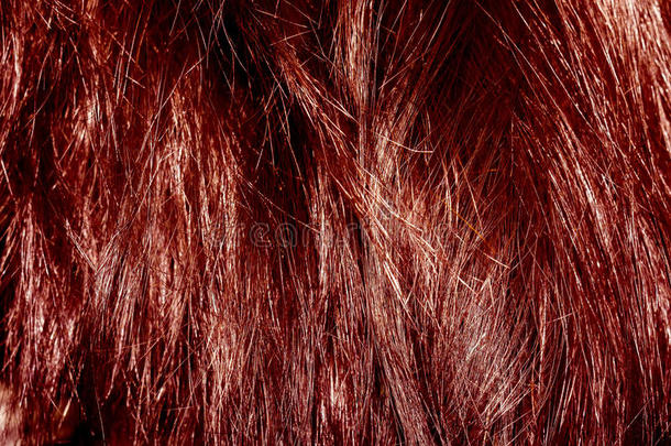 红发质