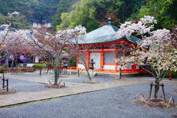 建筑学亚洲亚洲的开花佛教