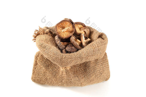 干燥的香菇在麻袋中分离在白色背景上