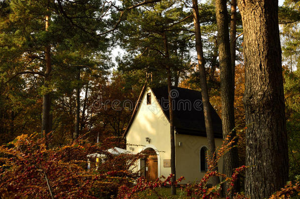 秋天生物群系棕色的丰富多彩的小屋