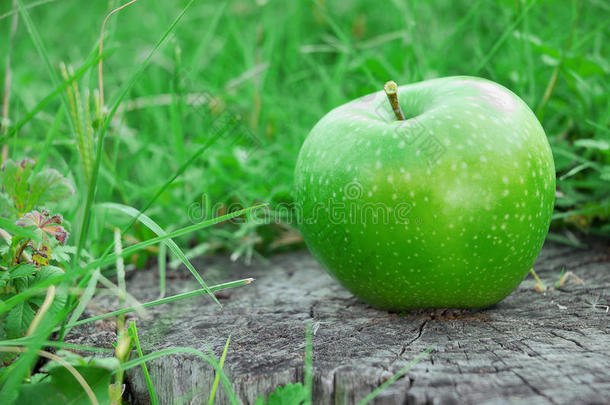 户外桌子上的新鲜绿色苹果