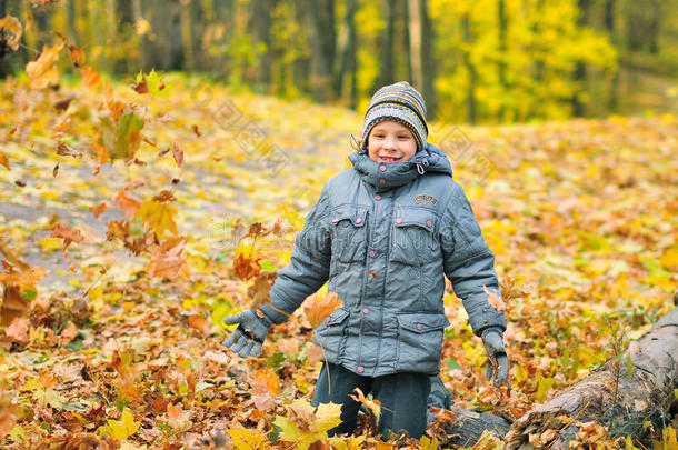男孩在秋天的森林里玩耍