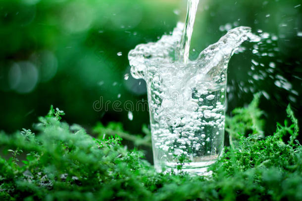 一杯天然绿色背景下的清凉淡水
