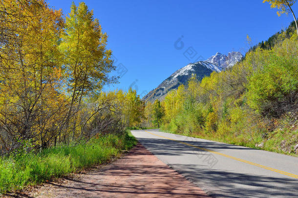 高山道路通过山区与五颜六色的白杨在叶季