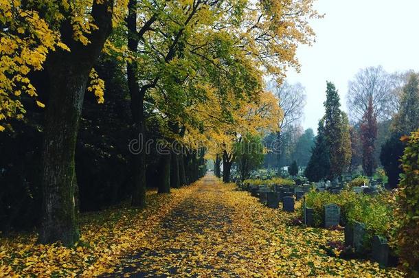 秋天的格里芬教堂墓地秋色