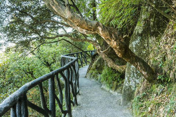 沿着悬崖面建造的一条路