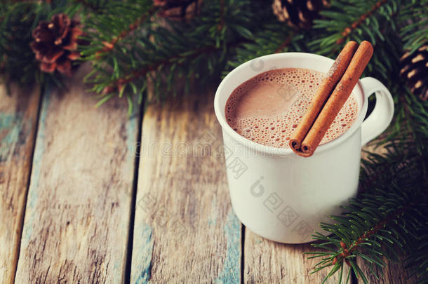 一杯热可可或热巧克力在木制背景与冷杉树和肉桂棒，传统饮料为冬季