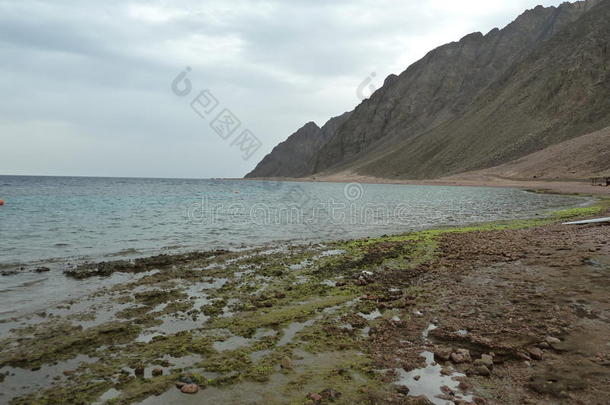 海滩蓝色达哈布埃及居住