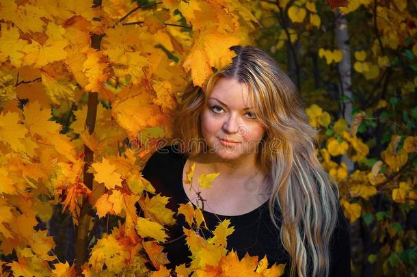 一个35岁的年轻女人在秋天的树林里，在枫叶的背景上
