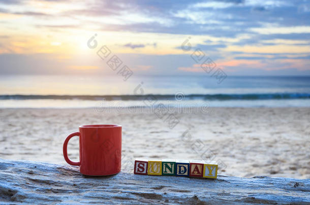 在日落或日出海滩的木材原木上的咖啡杯