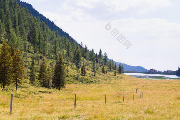 美丽的高山全景