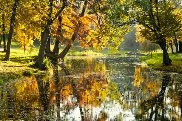 森林里河上明亮的早晨。 秋天的河流和树木。 秋天的早晨，公园里有美丽的温暖的颜色