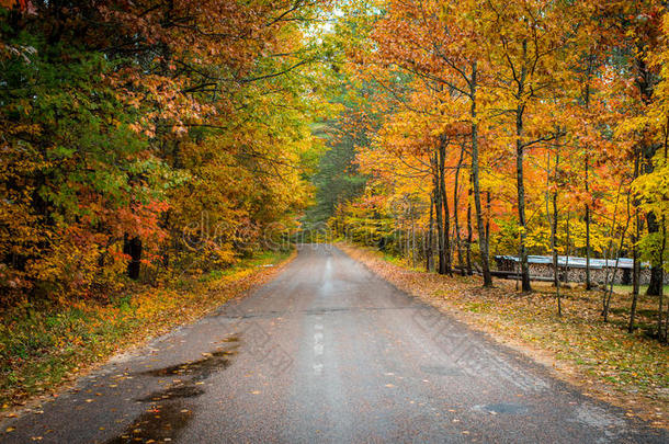 五颜六色的乡村公路在十月。
