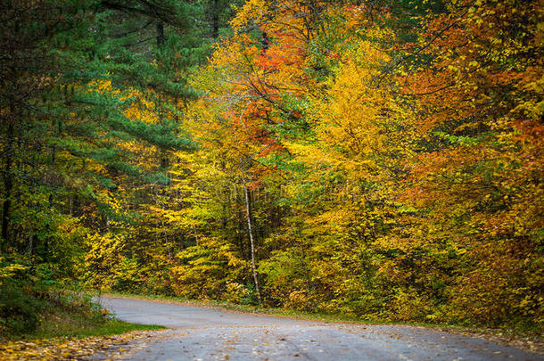 县道在十月下旬的颜色。