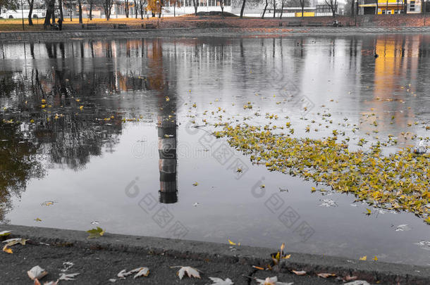秋天的城市河流散落着落叶，水中的倒影是可见的管道厂
