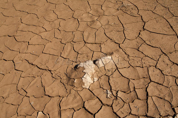 干旱和荒漠化