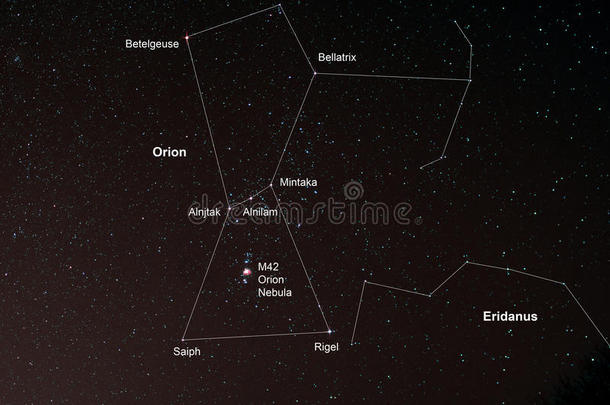 猎户座和猎户座星云的恒星场