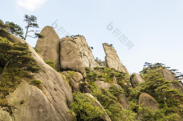 aaaaa级地区亚洲亚洲的瓷器