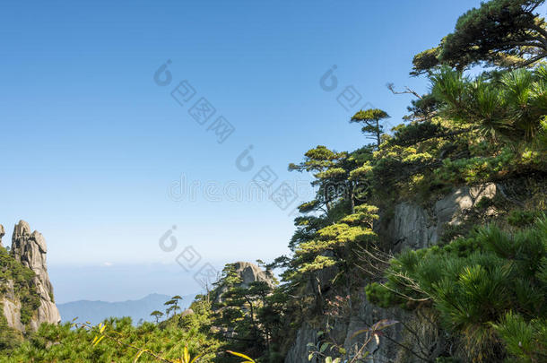 地区亚洲亚洲的蓝色瓷器