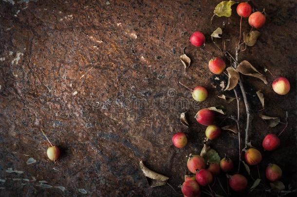 苹果与树枝和叶子在棕色的石头背景水平