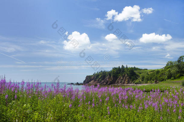 加拿大新不伦瑞克省的海岸美景