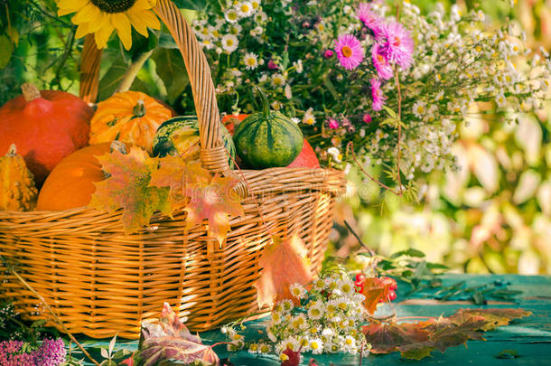 秋天的篮子秋收花园南瓜果实五颜六色的花