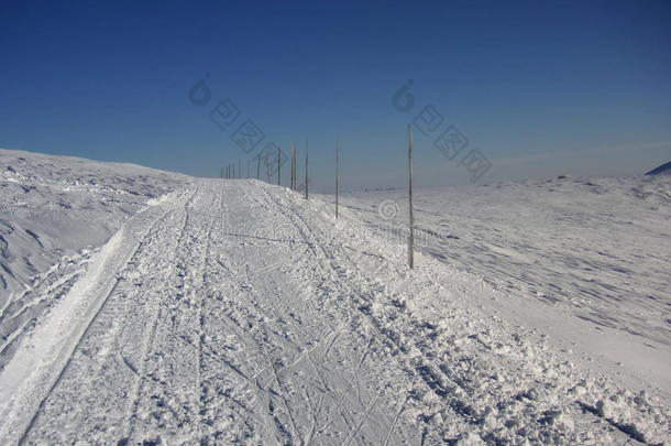 用木棍标记的越野滑<strong>雪路</strong>线