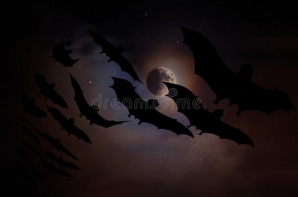 蝙蝠在月光下飞行