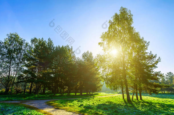 秋天的风景<strong>有道</strong>路和树木