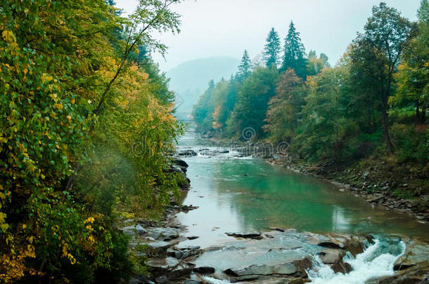 秋天森林里有瀑布的美丽河流景观