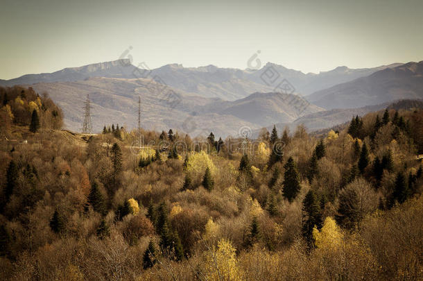 美丽的<strong>秋天</strong>风景。 <strong>山林</strong>草地。