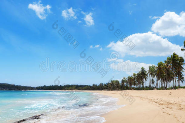 多米尼加共和<strong>国有</strong>棕榈和金色沙滩的异国海滩，
