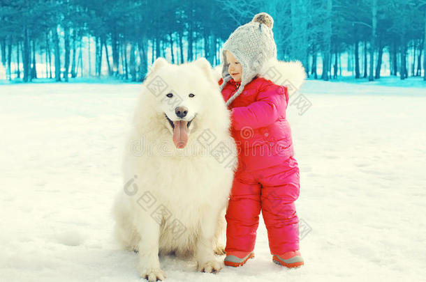 孩子和白色的萨莫伊狗在雪上散步在冬天