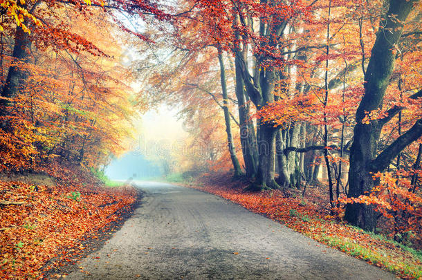 秋天的风景与乡村道路橙色的色调