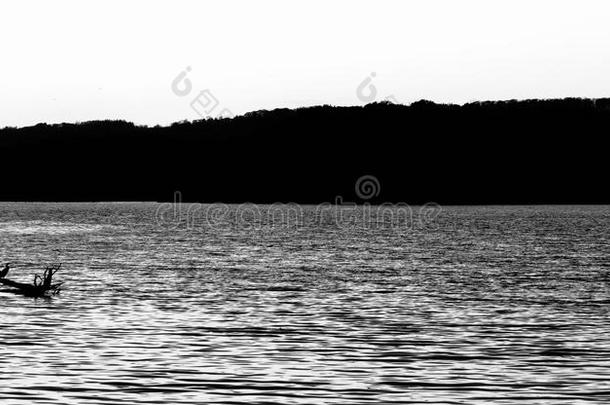 美丽的黑白景观的湖泊与鸟类