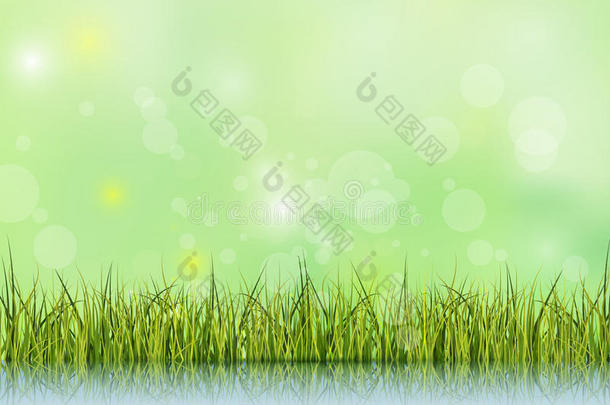 绿草与反射在水地板上。Bokeh效应对浅绿色和蓝色粉彩背景