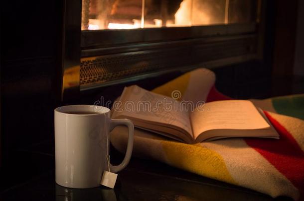 一本好书和一杯茶在舒适的炉火旁。
